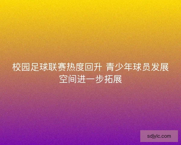 校园足球联赛热度回升 青少年球员发展空间进一步拓展